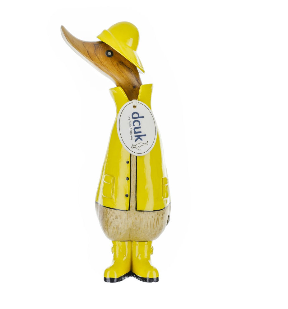 Raincoat Duckling        Quacking In The Rain