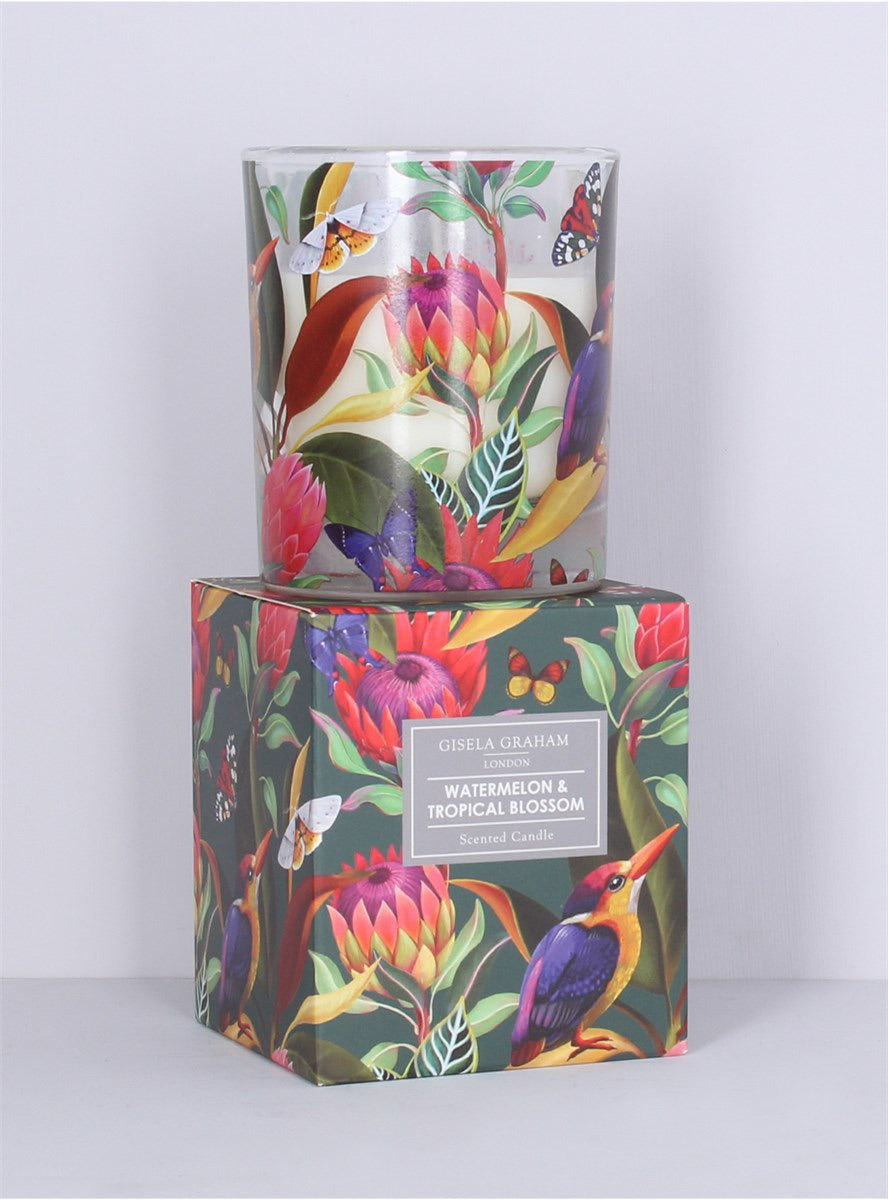 Scented Boxed Candle - Kingfisher & Protea