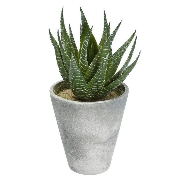 Potted Plant 17cm - Faux Aloe